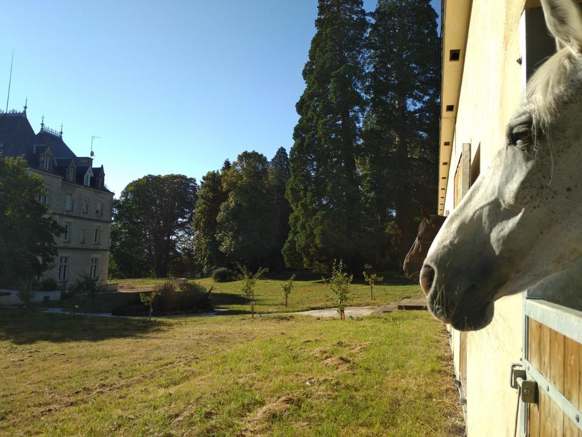 Chateau De St Alyre Otel Sanssat Dış mekan fotoğraf