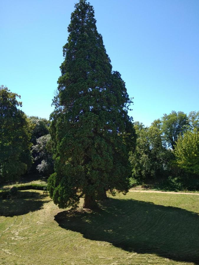 Chateau De St Alyre Otel Sanssat Dış mekan fotoğraf